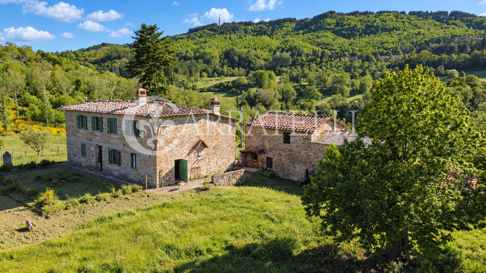 Panoramico casale con terreno in Greve in Chianti
